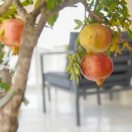 Apartment The Hostmaster Cosmopolitan Downtown Scent Athens